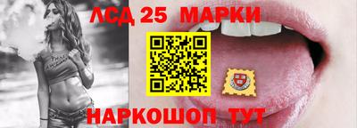 молекула духа Донской