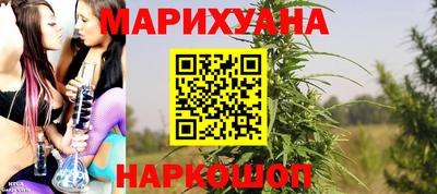 скорость Дубна