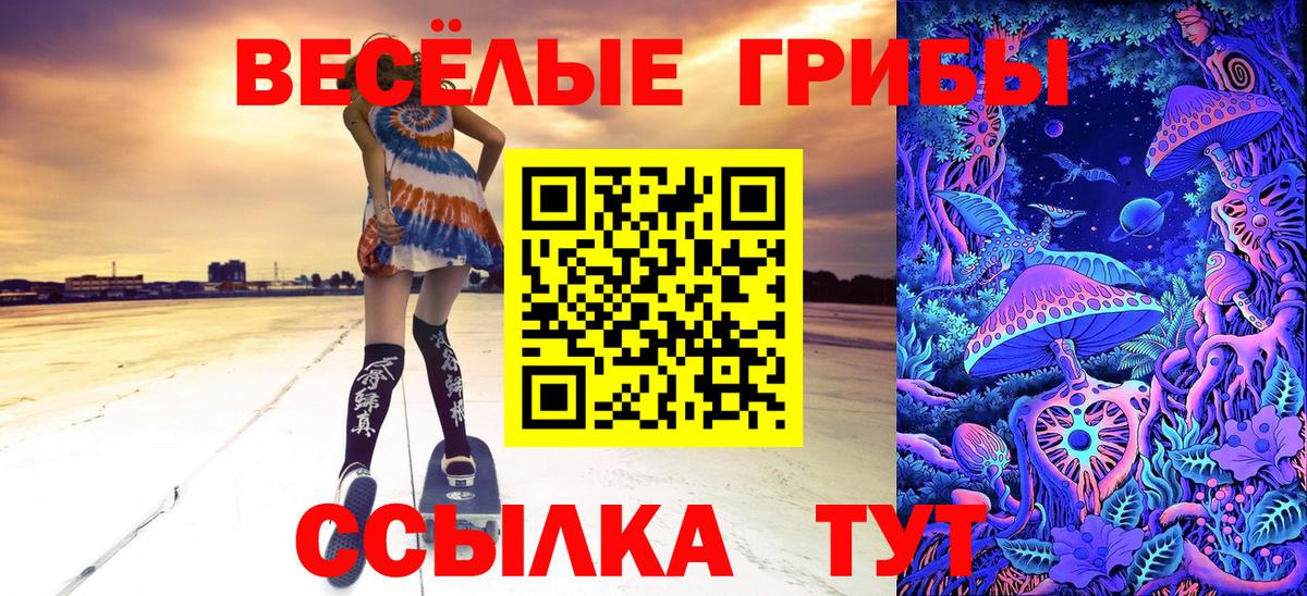 Галлюциногенные грибы Cubensis  Вход с VPN  Глазов 